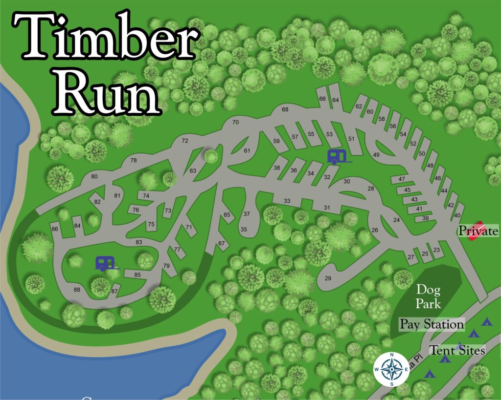 A map of the woods with trees and trails.