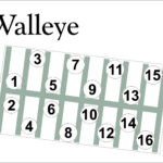 Walleye Map